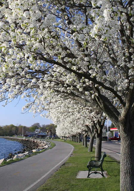 bike path 3
