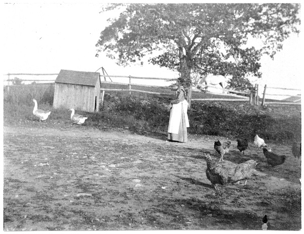 A CHARLES Nancy Peck at Barrows Farm