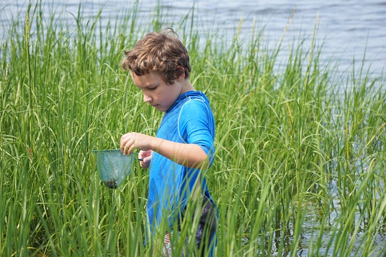 B Audubon Shore Hike