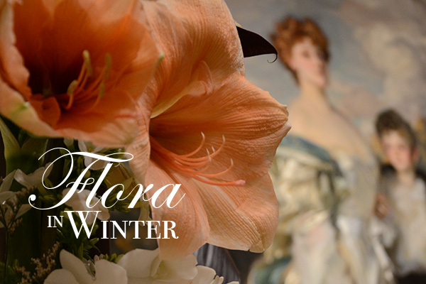 B FLORA flora-in-winter-banner-2018-2