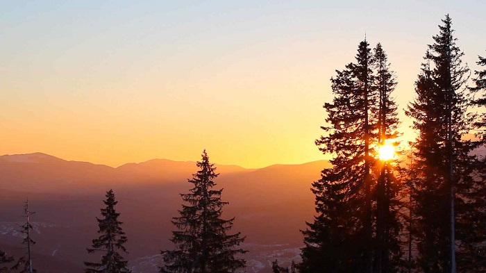 D ARBOR hero-hazy-mountain-with-forest-silhouette-sunset