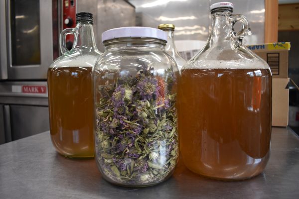 ROUND THE BEND FARM: BREWING KOMBUCHA