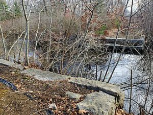 TEN MILE RIVER WATERSHED