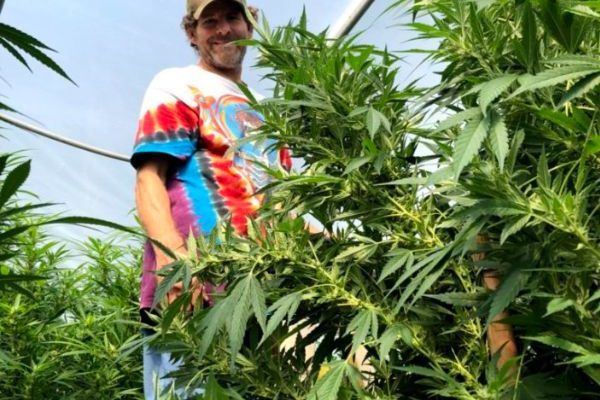 SKYDOG FARM “CRAFTING CANNABIS FOLK KITCHEN REMEDIES”